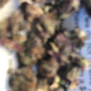 Meet your Posher, Fernando